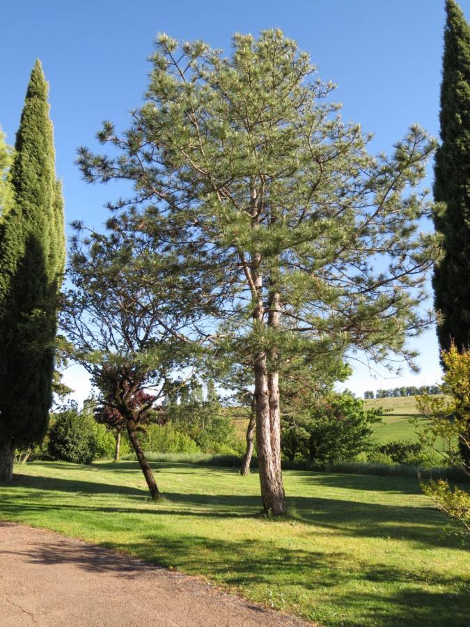 Villa Domaine La Castagne à Montmaur  Extérieur photo